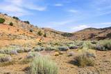 1800 Wrangler Road