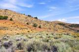 1800 Wrangler Road