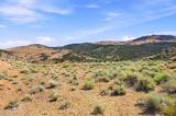 1800 Wrangler Road