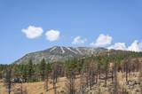 0 Joy Lake Road