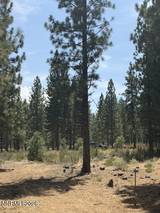 144 Redding Way #349