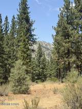144 Redding Way #349