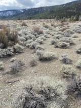 301 Adams Ranch Road #38
