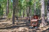 1001 Pinion Pine Trail
