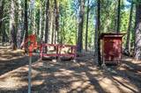 1001 Pinion Pine Trail