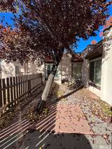 1005 Baywood Drive #B