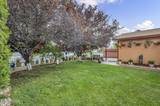 3128 Gordonia Drive