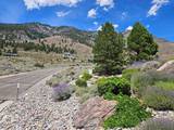 301 Adams Ranch Road #38