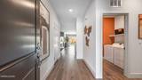 4259 Single Pine Way