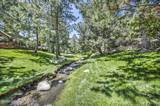 3225 Alum Creek Court