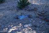 1940 Morgan Road #VCH M-137A