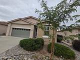 1479 Arona Drive