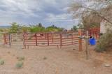 1385 Cooney Drive