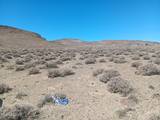 8180 S Highway 95A