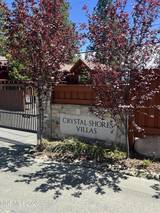 557 Lakeshore Boulevard # 103
