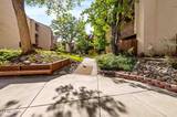 2750 Plumas Street #APT 320