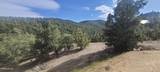 21685 Palamino Road