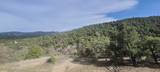 21685 Palamino Road