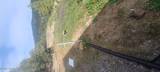 21685 Palamino Road