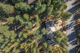 1530 Austrian Pine Road