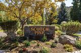 135 W Jeffrey Pine Road