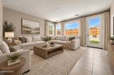2597 Michelangelo Drive
