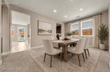 2597 Michelangelo Drive
