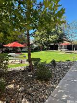 1450 Idlewild Drive #821