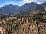 900 Stutler Creek Court