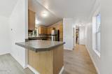 176 Crescent Drive