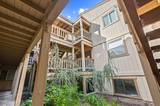 872 Tanager Street # 46