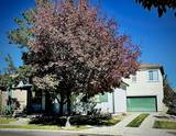 1771 Emerald Bay Drive