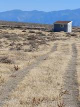 00356011 Near Lovelock Speedway