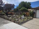 2420 Donna Street
