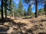 955 Blue Spruce Road