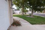 1133 Dixie Lane
