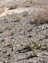 227 Leona Drive #Lot 36, 37, 38