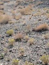227 Leona Drive #Lot 36, 37, 38