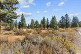 49 Bennington Court