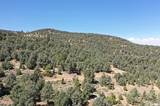 21721 Clemens Road