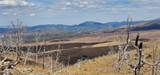 8601 Pinenut Creek Road