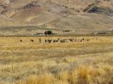 650 Wrangler Road #2