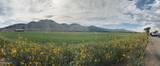 TBD Lower Colony Road #3D