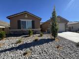 7824 Tortoise Shell Drive