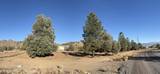 1473 Sandstone Drive