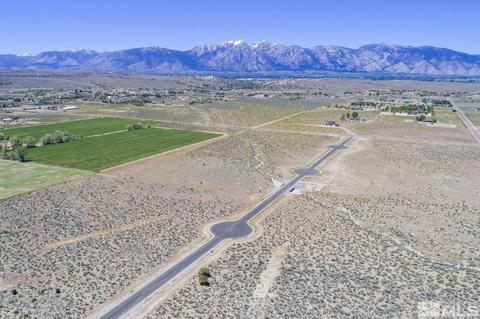2420 Blaze Court, Gardnerville
