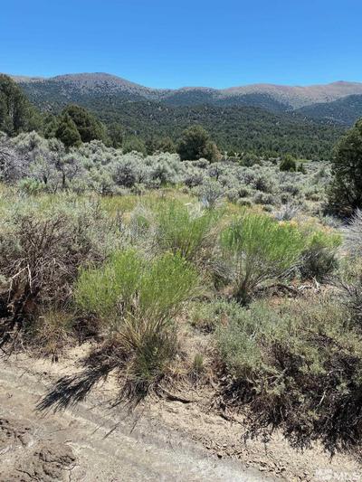 tbd El Dorado Canyon