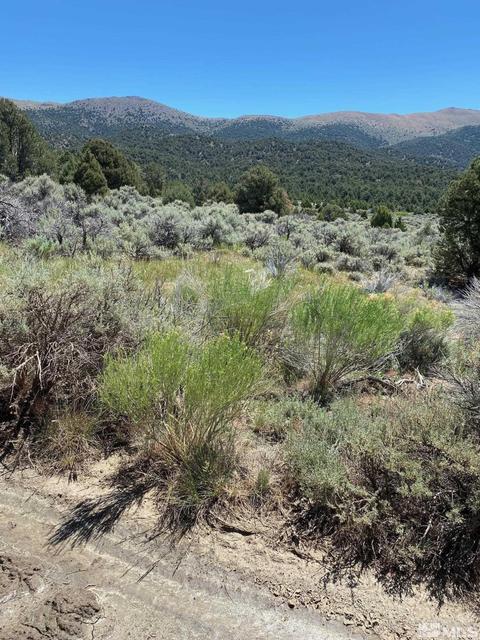 tbd El Dorado Canyon, Carson City