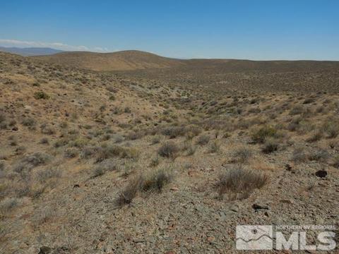 11230 Winter River Drive, Lovelock