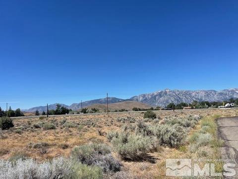 1847 Chestnut Court, Gardnerville
